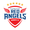 Logo Hyundai Steel Red Angels (w)