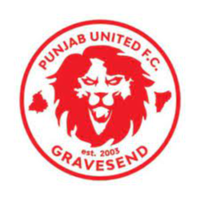 Punjab United logo