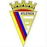 Logo Atletico Clube Purtugal