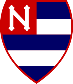 Nacional AC SP Youth logo