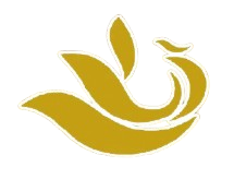 Yunnan Kunming Phoenix Rubber Heritage All-Star FC