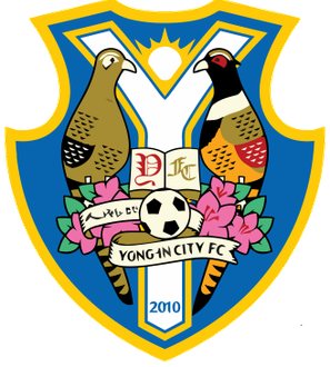 Yong-in FC logo
