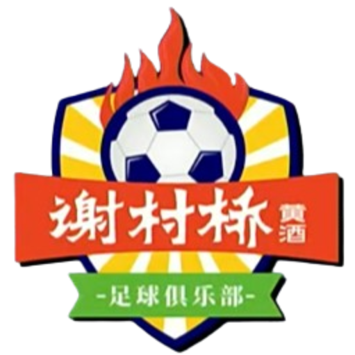 陕西汉中谢村桥黄酒队