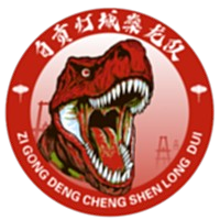 自貢燈城燊龍隊