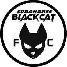 Suranaree Black Cat