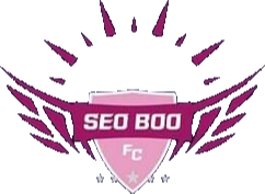 Daejeon Seobu Football Club logo
