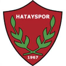 Hatayspor Women logo