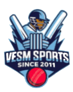 Vesm Sports logo