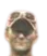 Alex Bancila