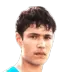 George Botezan