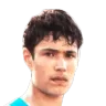 George Botezan