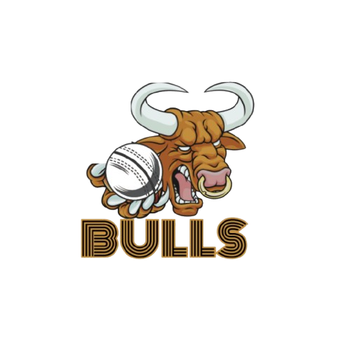 Bulls logo