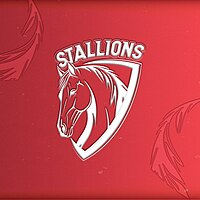 Stallions logo