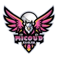 Micoud Eagles logo