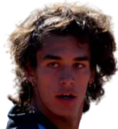 Valentino de Pellegrin