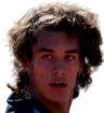 Valentino de Pellegrin