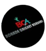 Borade Cricket Academy logo