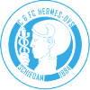 Hermes-Dvs logo