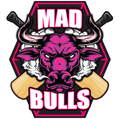 Mad Bulls logo