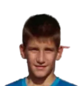Andrej Nedic