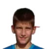 Andrej Nedic