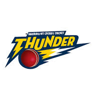 Mighty Thunder logo