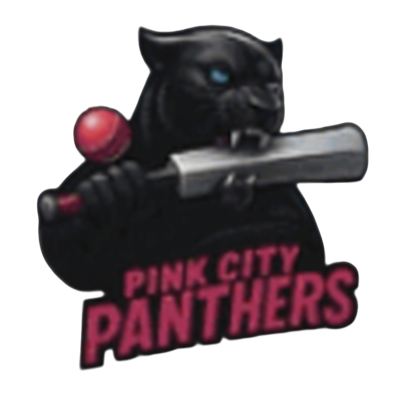 Pink City Panthers logo