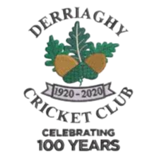 Derriaghy Cc logo
