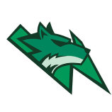 Wellington Wolves