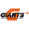 Nelson Mandela Bay Giants logo