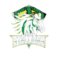 Bagh Stallions logo