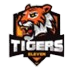 Tigers Xi logo