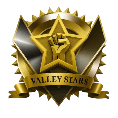 Valley Stars logo