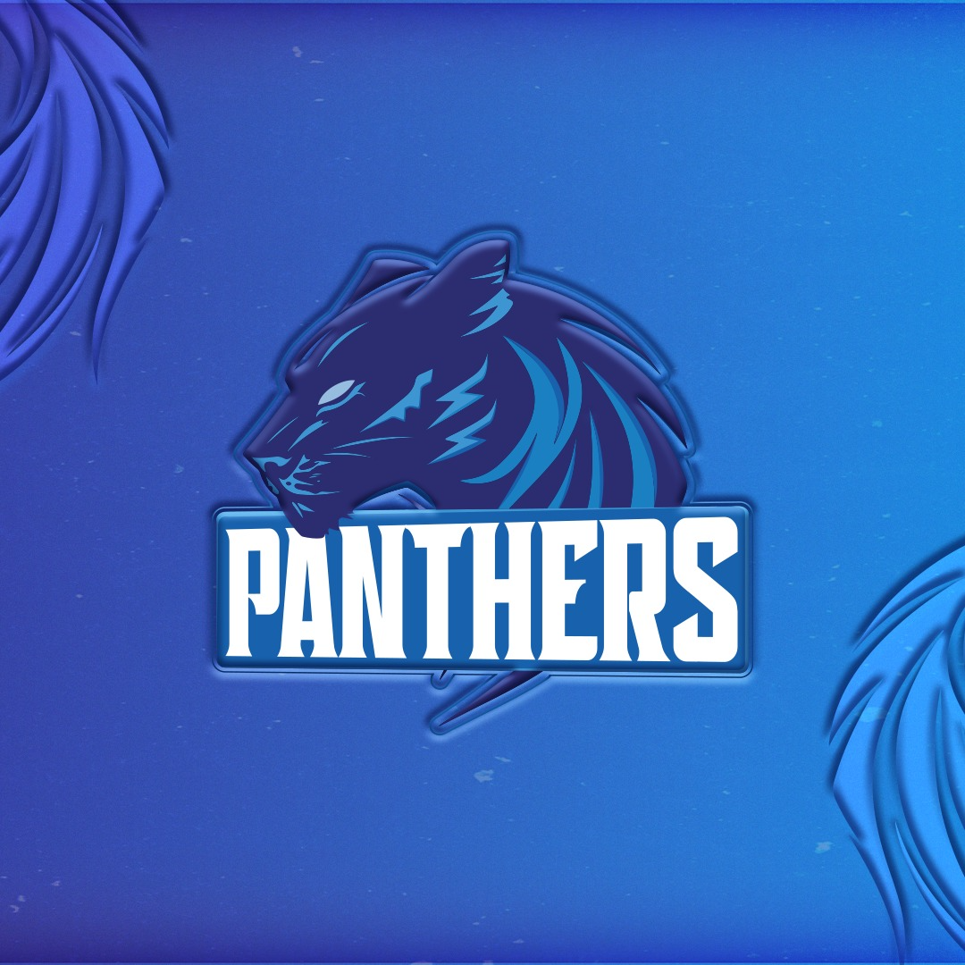 Panthers logo