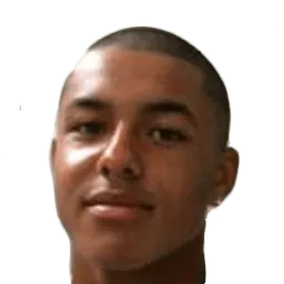 Brandon Walkin