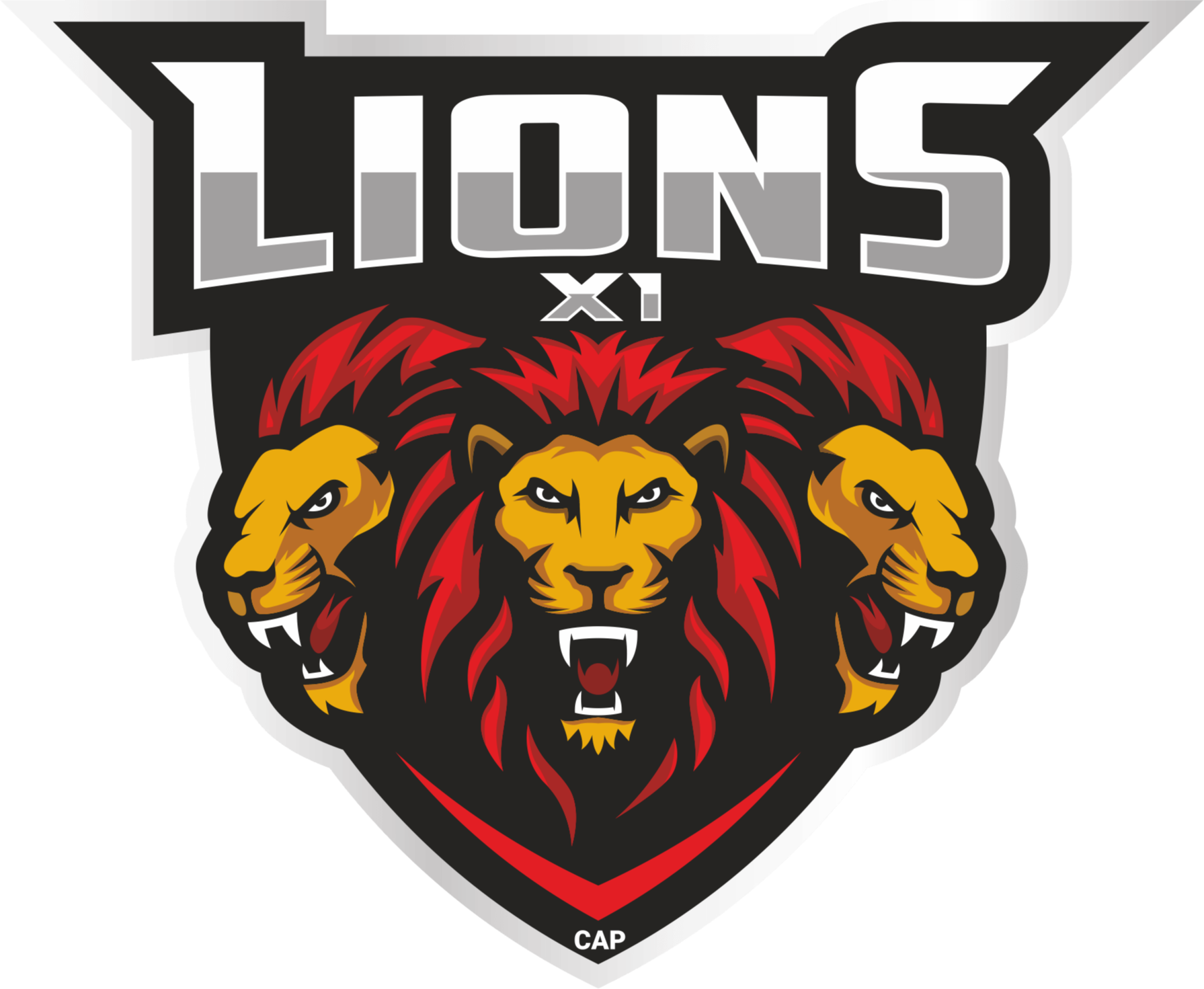 Lions Xi logo