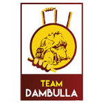 Dambulla Nsl logo