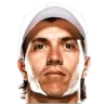 Carlos Berlocq