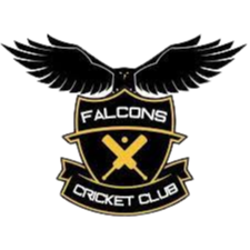 Falcons logo