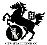MTV Stallions logo