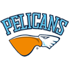 Lahti Pelicans