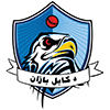Kabul Eagles logo