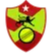 Bin Ali Strikers