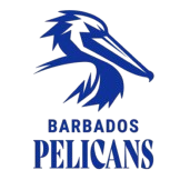 Barbados Pelicans logo
