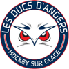Angers Ducs