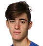 Gustavo Heide