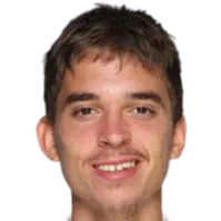 Dino Prizmic