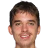 Dino Prizmic