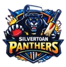Silvertoan Panthers logo