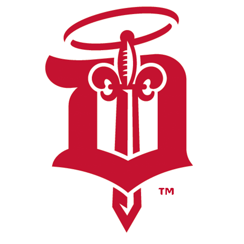 Dubuque Fighting Saints